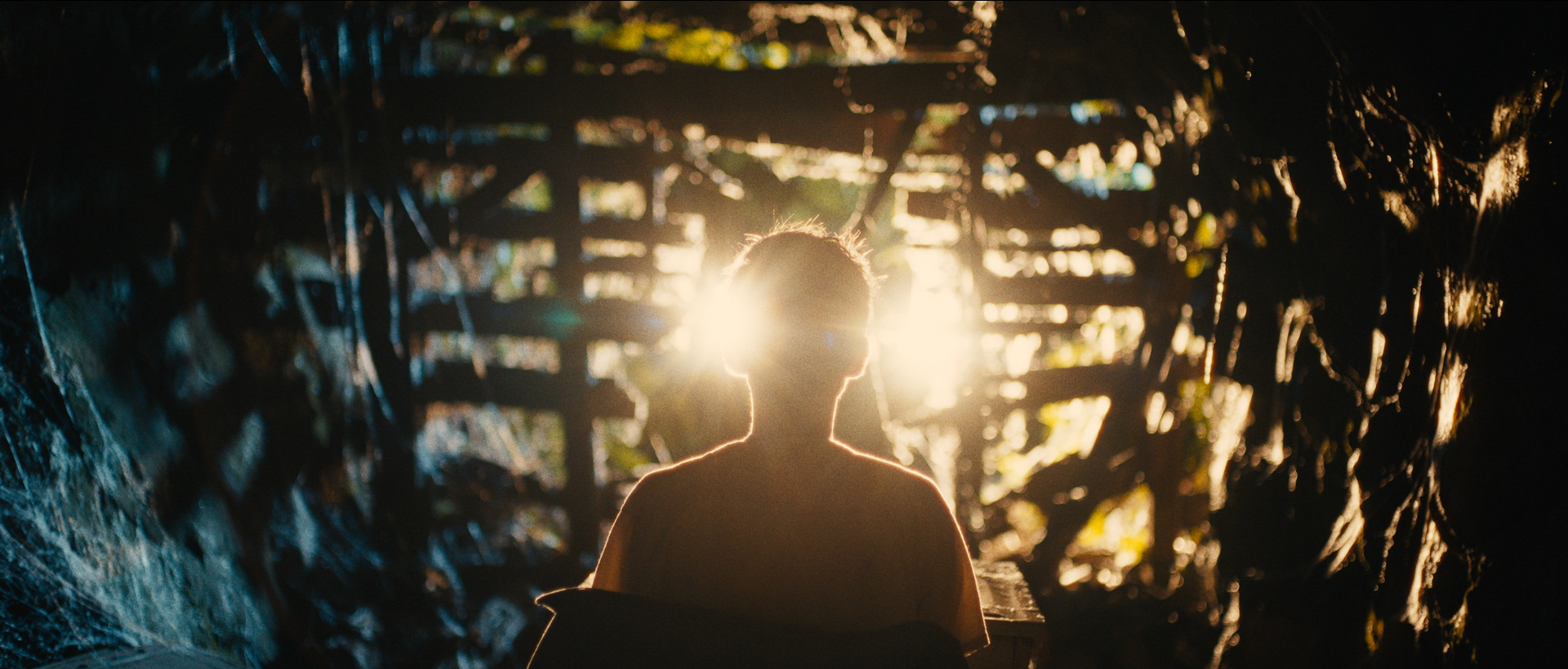 LOST ON A MOUNTAIN IN MAINE - Feature still